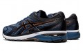 Asics GT-2000 8 2E