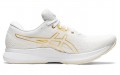 Asics EvoRide 1