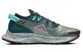 Nike Pegasus Trail 2