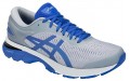 Asics Gel-Kayano 25