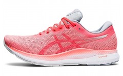 Asics EvoRide