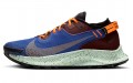 Nike Pegasus Trail 2 Zoom GORE-TEX