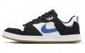 Nike SB Alleyoop SB Alleyoop "White Team Royal"