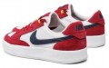 Nike SB Adversary