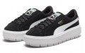 PUMA Platform Trace