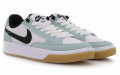 Nike SB Adversary Light Dew