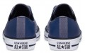 Converse Chuck Taylor All Star Low Top