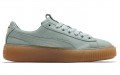 PUMA Platform