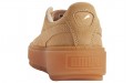 PUMA Platform Trace