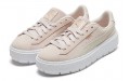 PUMA Platform Trace