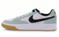 Nike SB Adversary Light Dew