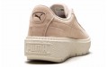 PUMA Platform Trace Soft