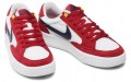 Nike SB Adversary