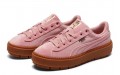 PUMA Platform Trace V