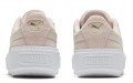 PUMA Platform Trace