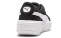 PUMA Platform Trace