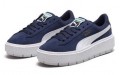 PUMA Platform Trace