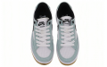 Nike SB Adversary Light Dew