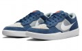 Nike SB Force 58