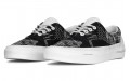 C2H4 x Vans Era