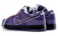 CONCEPTS x Nike Dunk SB Purple Lobster