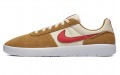 Nike SB Team Classic