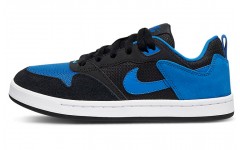 Nike SB Alleyoop GS