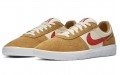 Nike SB Team Classic