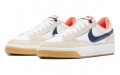 Nike SB Adversary PRM