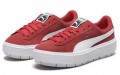 PUMA Platform Trace