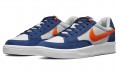 Nike SB Adversary prm