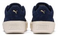 PUMA Platform Trace