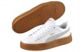 PUMA Platform core