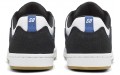 Nike SB Alleyoop SB Alleyoop "White Team Royal"