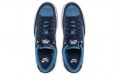 Nike SB Adversary