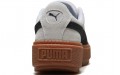 PUMA Platform Trace