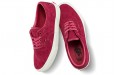 They Are x Vans Era