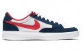 Nike SB Adversary PRM