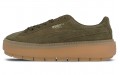 PUMA Platform Trace