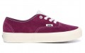 Vans Authentic Chaussures Pig Suede