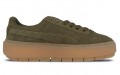 PUMA Platform Trace