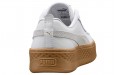 PUMA Platform core