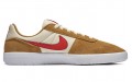 Nike SB Team Classic