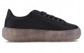 PUMA Platform Trace