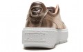 PUMA Platform Trace