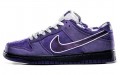 CONCEPTS x Nike Dunk SB Purple Lobster