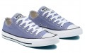 Converse Chuck Taylor All Star Seasonal Color Low Top