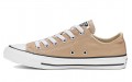 Converse Chuck Taylor All Star Seasonal Color Low Top