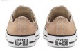 Converse Chuck Taylor All Star Seasonal Color Low Top