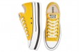 Converse Chuck Taylor All Star Everyday Platform